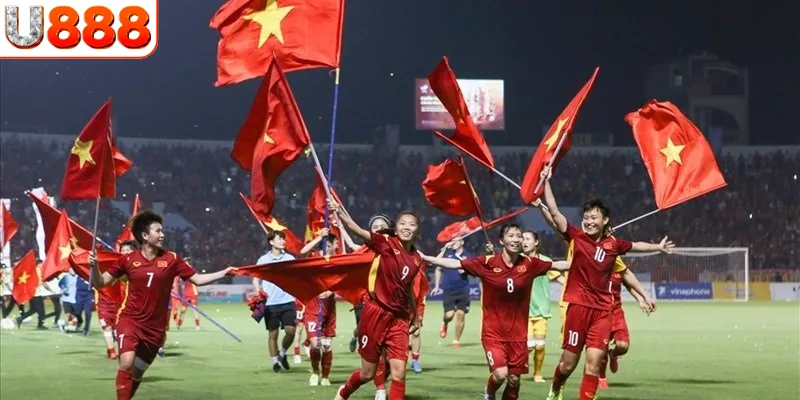 Thông tin về các giải đấu bóng đá Việt Nam